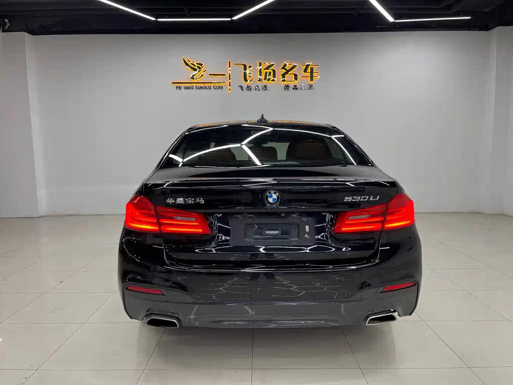 BMW 5 Series 2018 — фото 15