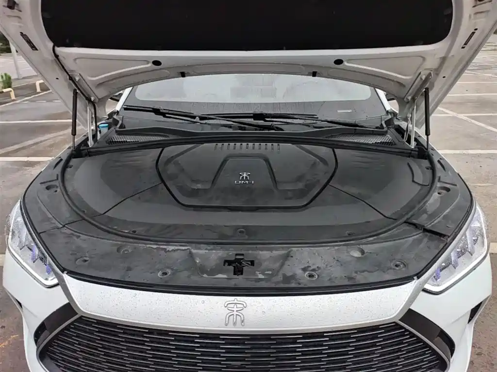 BYD PLUS New Energy 2022 — фото 20