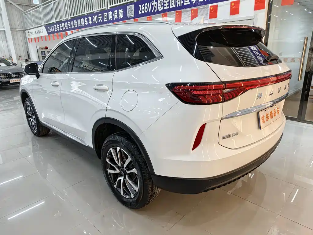 Haval H6 2022 — фото 4