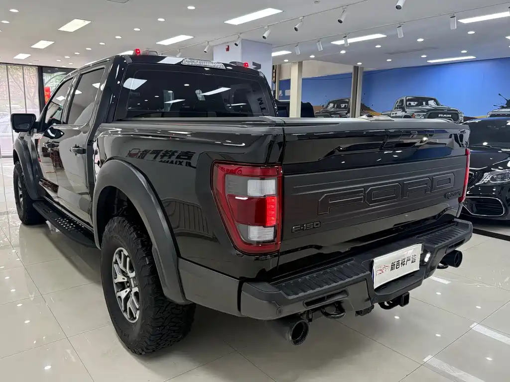 Ford F-150 Raptor 2024 — фото 15