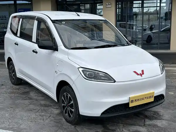 Wuling Hongguang New Energy 2024