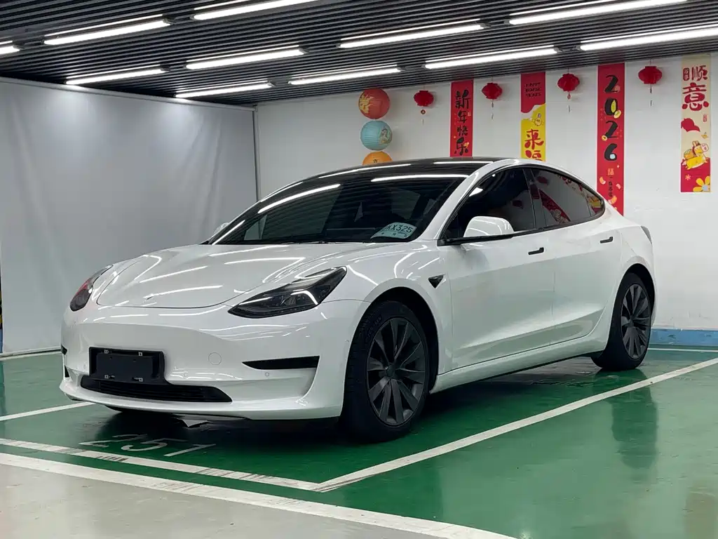Tesla Model 3 2021 — фото 1