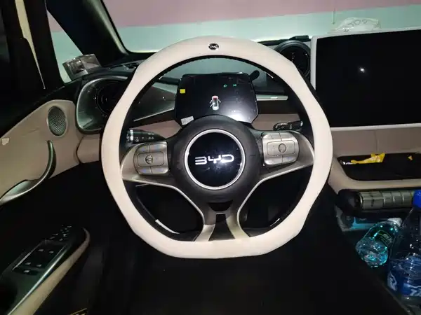 BYD Dolphin 2024