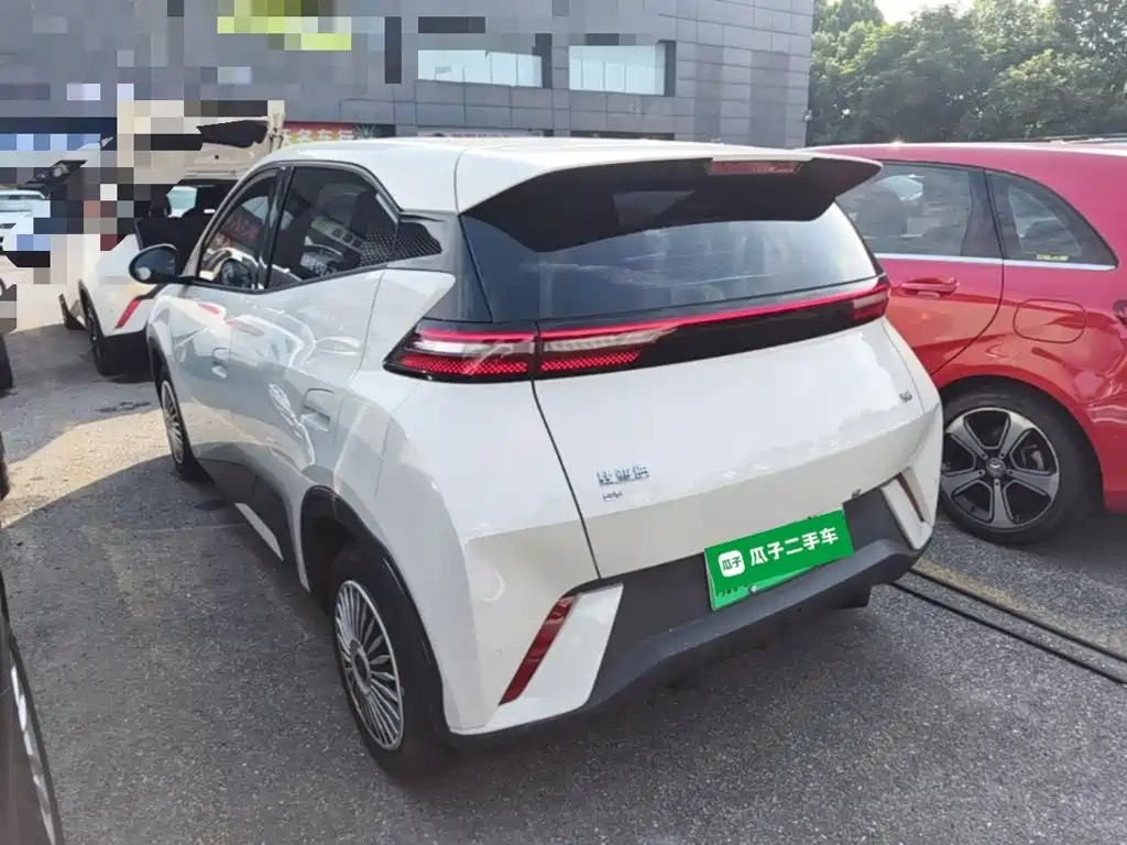 BYD Seagull 2024