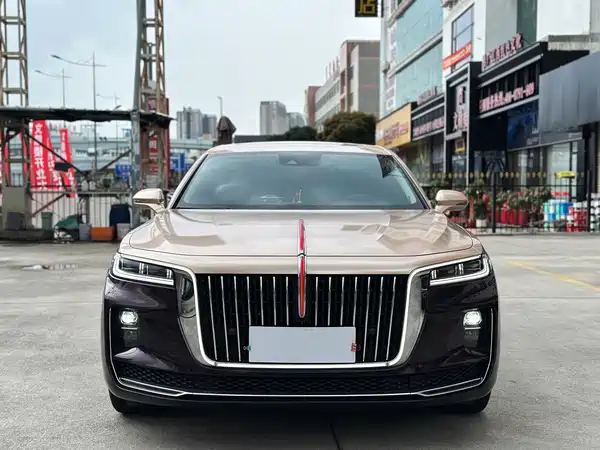 Hongqi H9 2020
