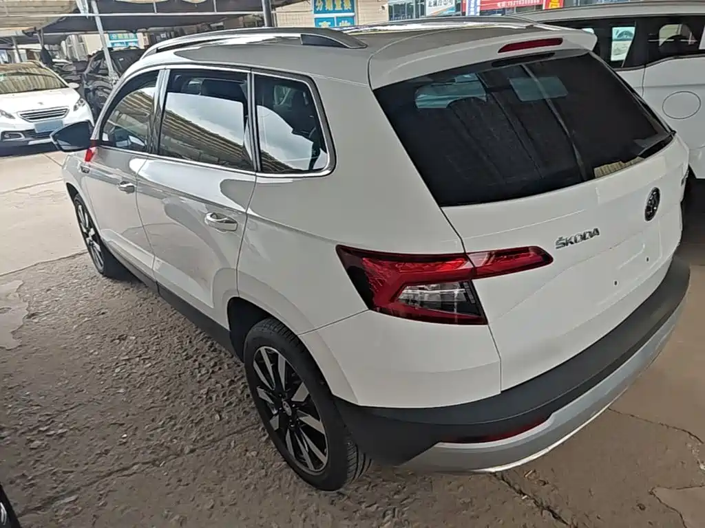 Skoda Karoq 2019 — фото 5