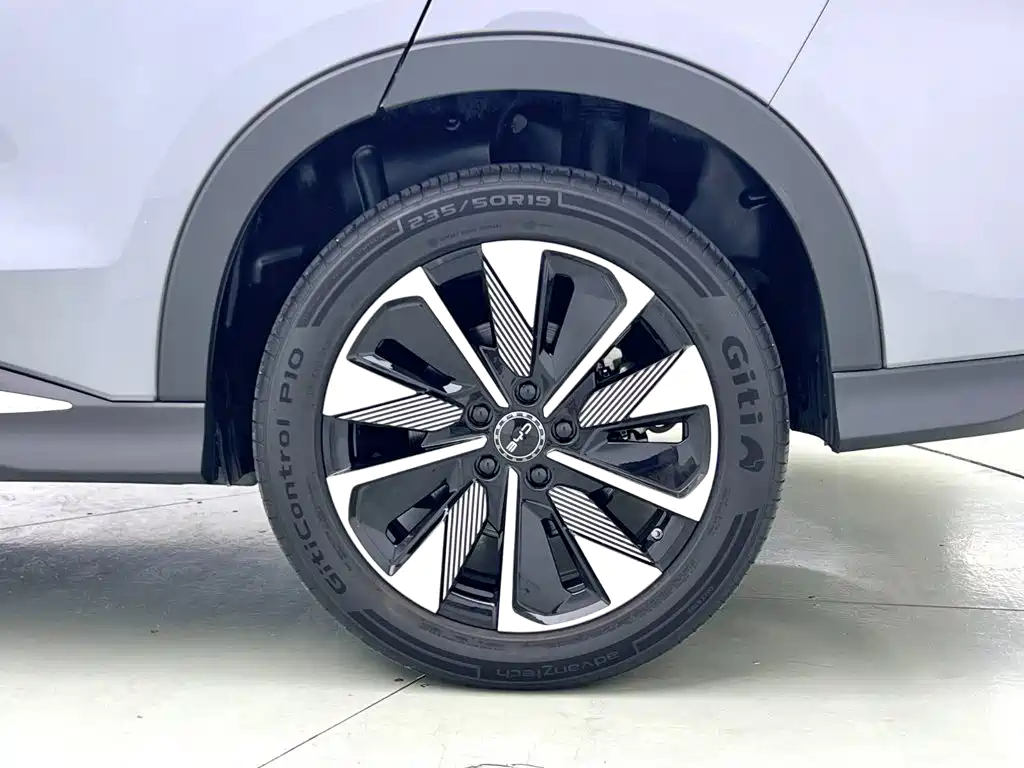 BYD Song PLUS New Energy 2025 — фото 5