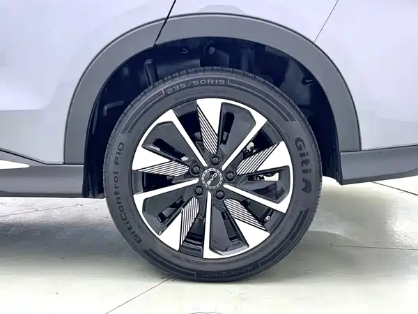 BYD Song PLUS New Energy 2025