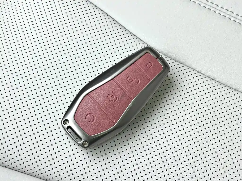 BYD Song PLUS New Energy 2025 — фото 13