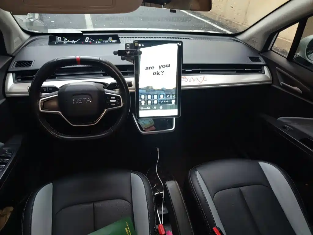 Neta V 2021