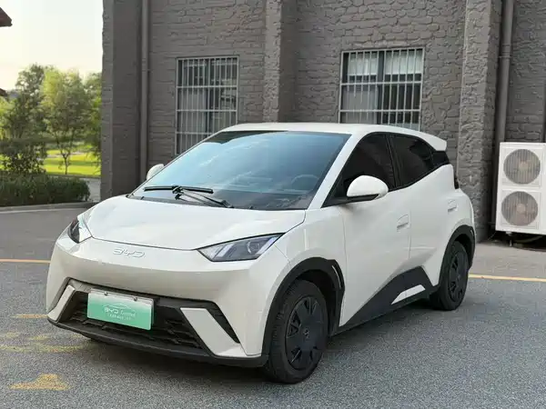 BYD Seagull 2024