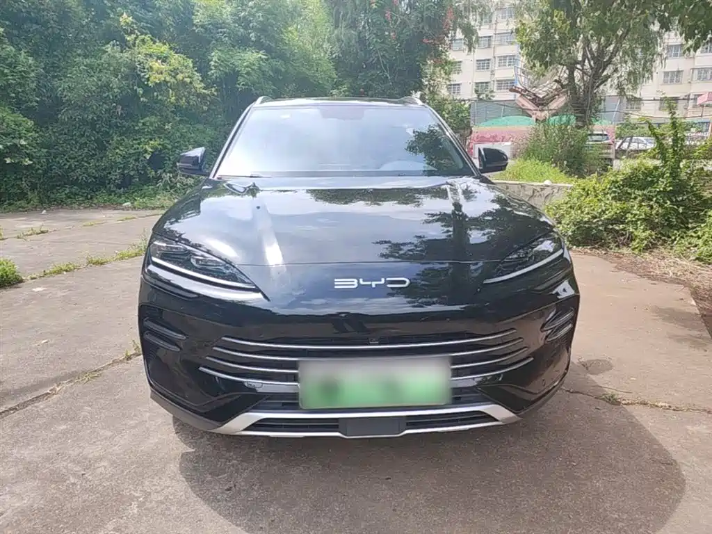 BYD PLUS New Energy 2024 — фото 3