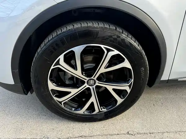BYD Tang New Energy 2024