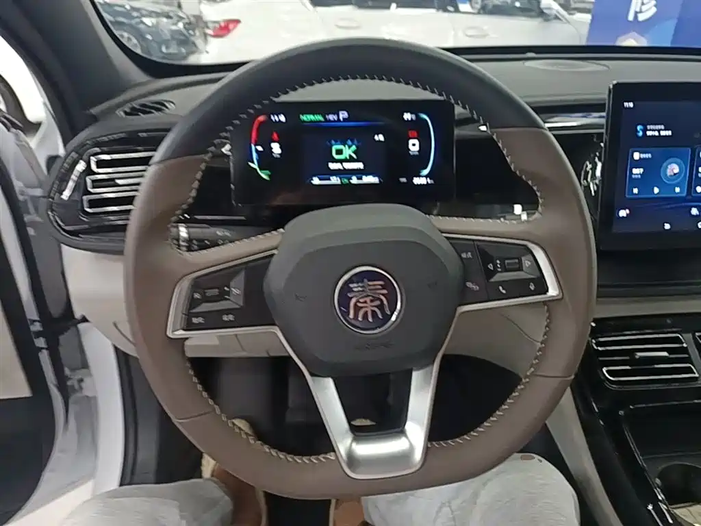 BYD Qin PLUS 2024 — фото 11