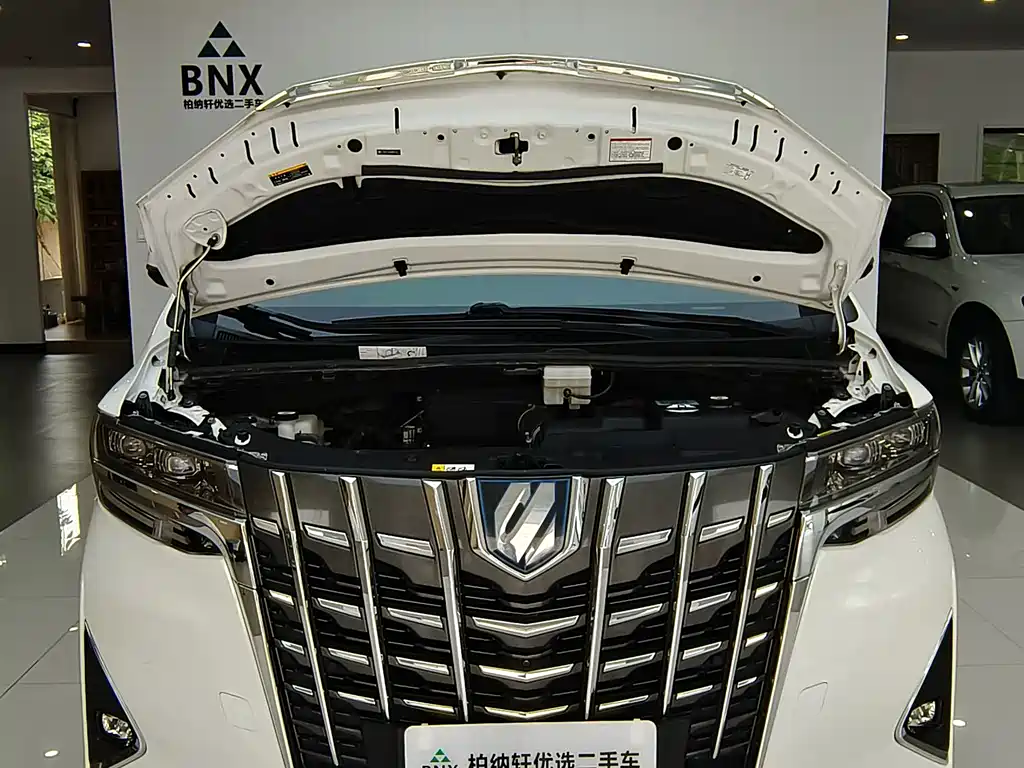 Toyota Alphard 2021 — фото 34