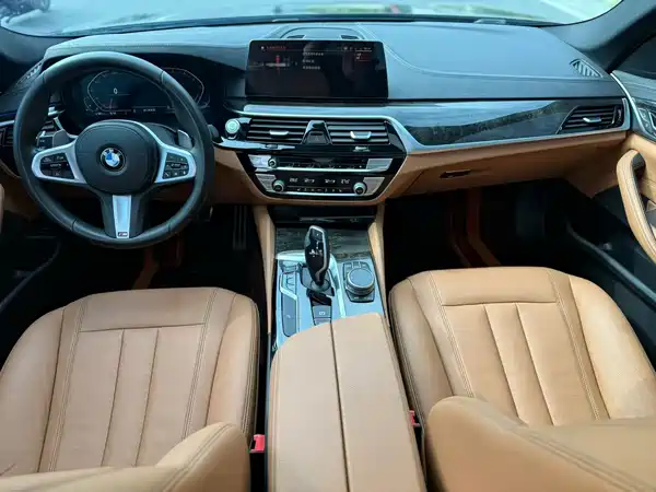 BMW 5 Series 2019