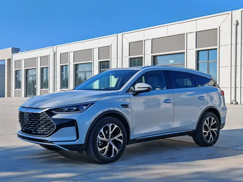 BYD Tang New Energy 2025