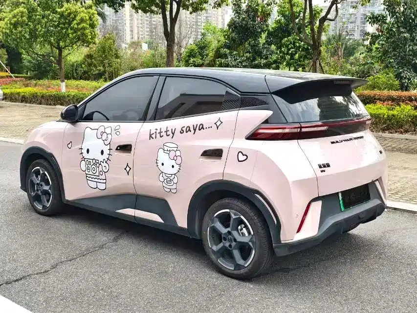 BYD Seagull 2024
