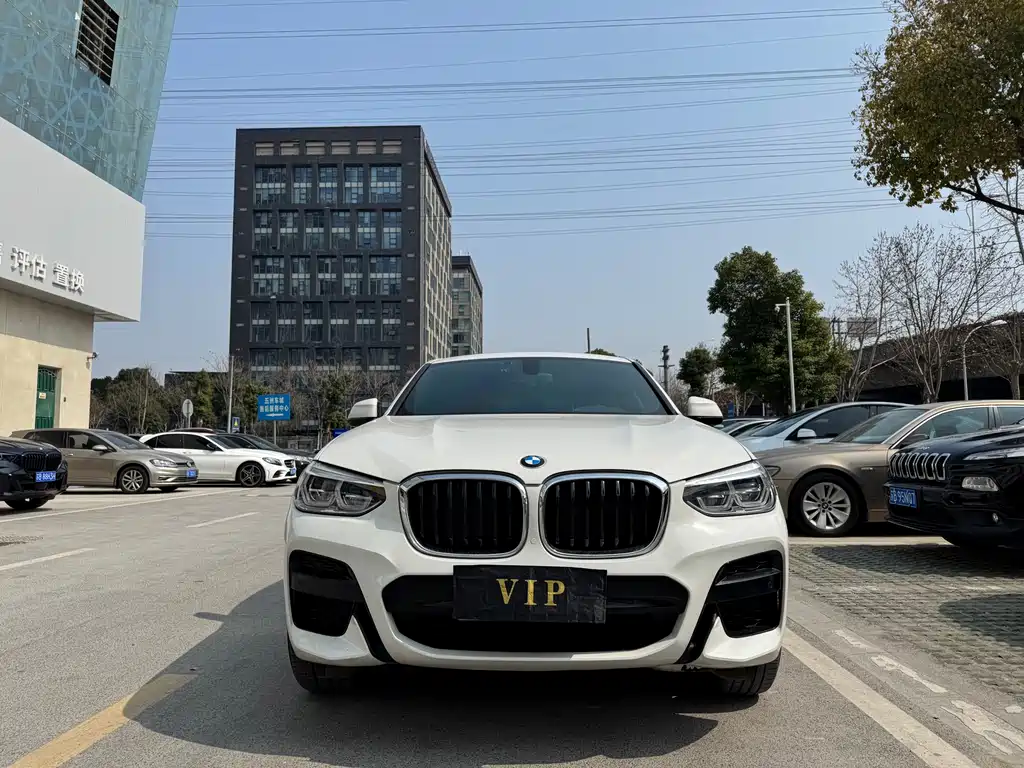 BMW X4 2020 — фото 2