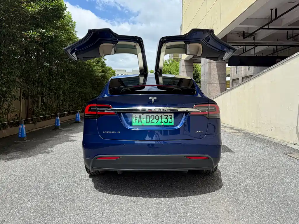 Tesla Model X 2017 — фото 8