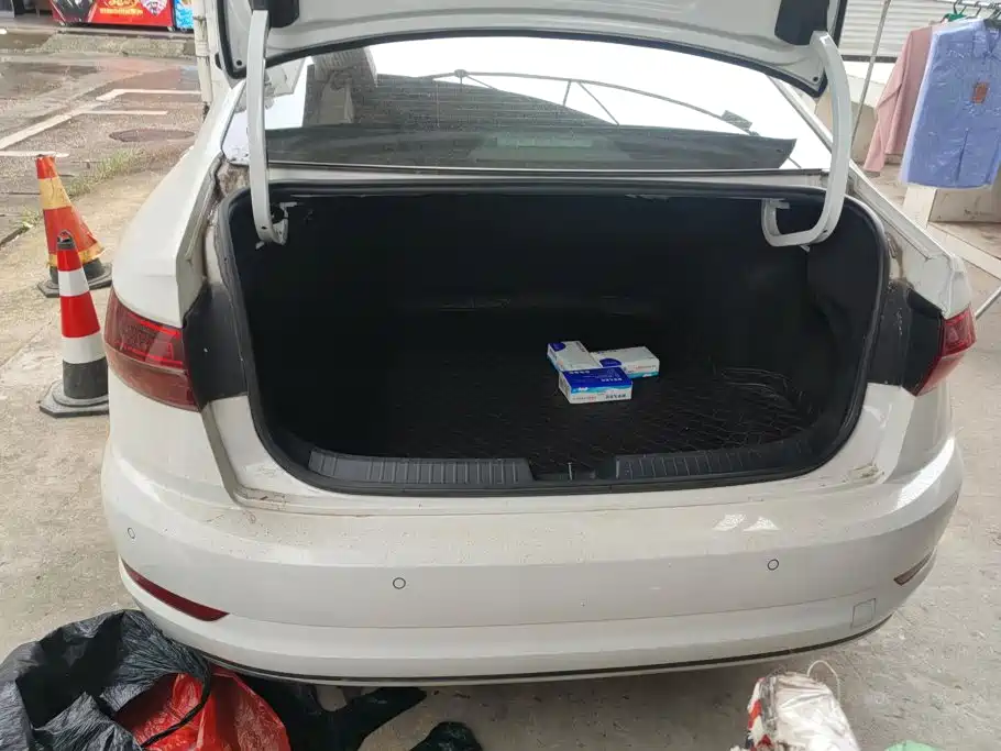 Volkswagen Sagitar 2019
