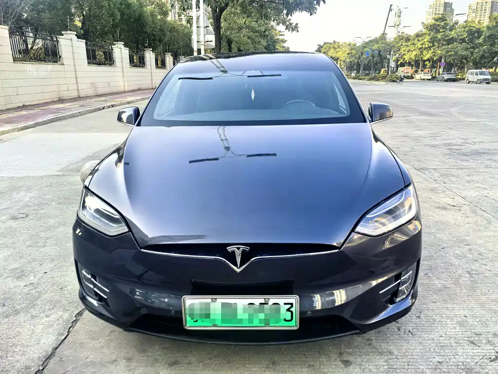 Tesla Model X 2020 — фото 2