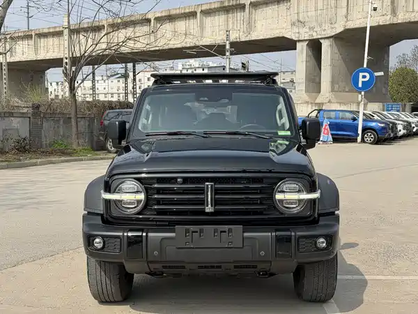 Tank 300 2021