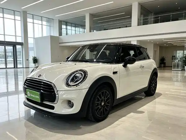 MINI MINI 2021