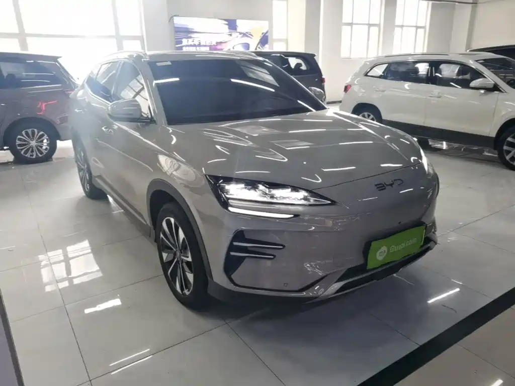 BYD Song PLUS New Energy 2024 — фото 4