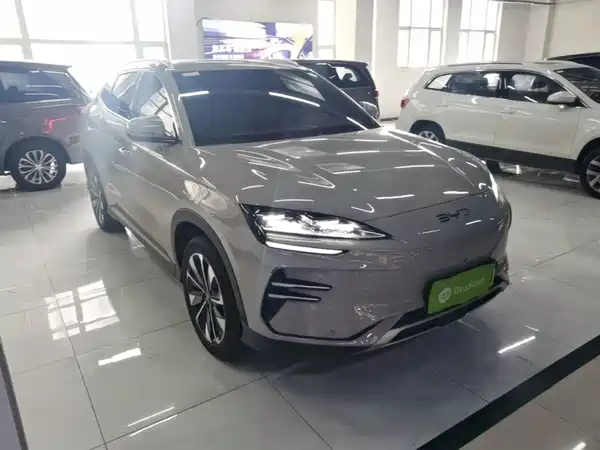 BYD Song PLUS New Energy 2024