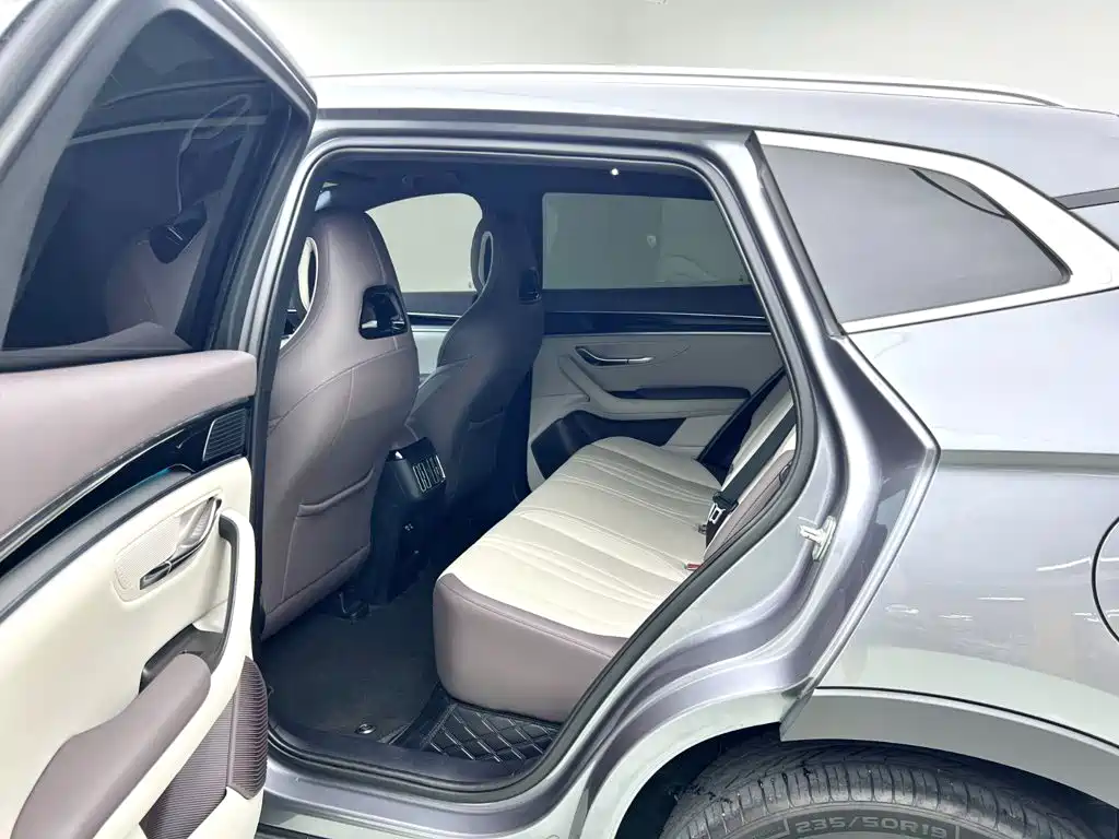 BYD Song PLUS New Energy 2025 — фото 9