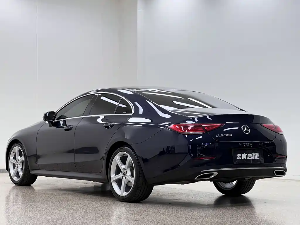 Mercedes-Benz CLS 2019 — фото 5