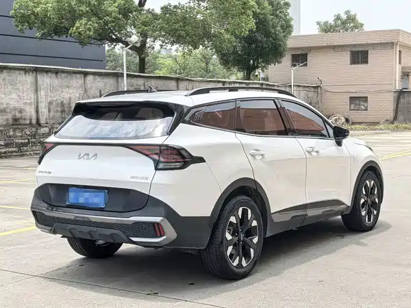 Kia Lion Platinum Expands The Boundary 2023