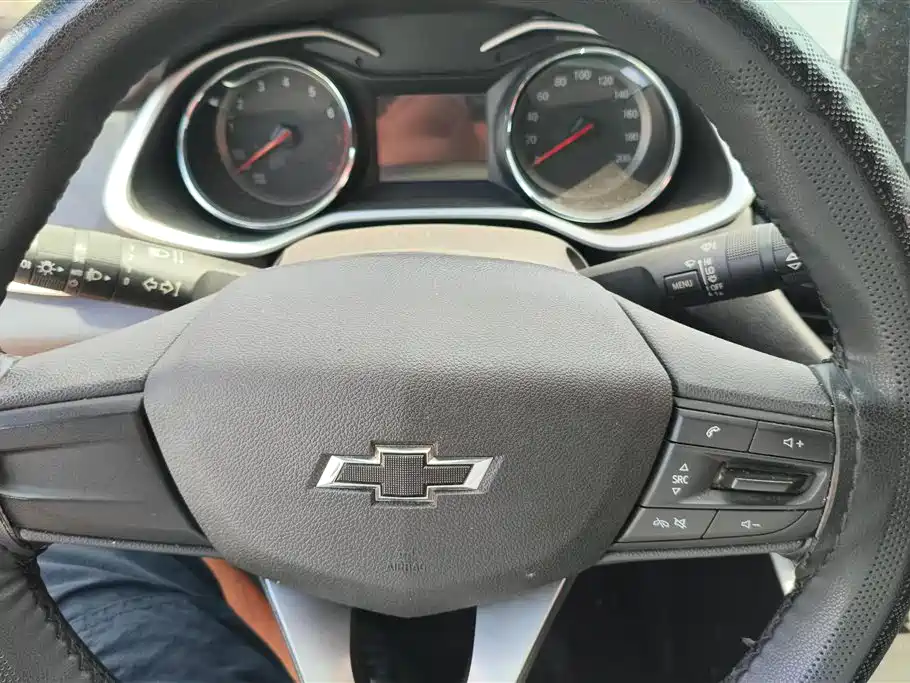 Chevrolet Cavalier 2019 — фото 15