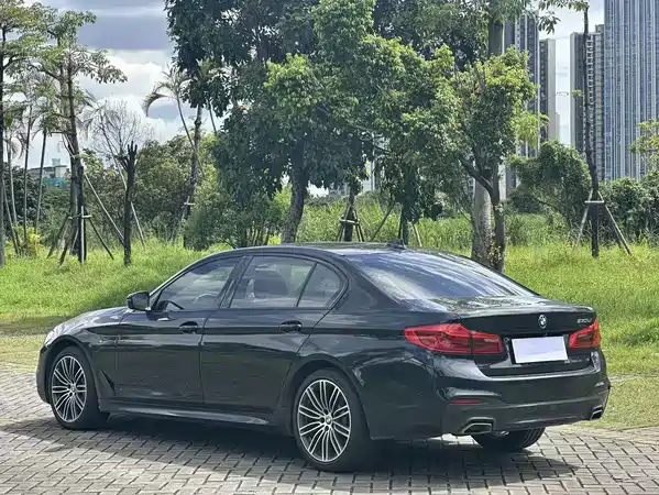 BMW 5 Series 2019