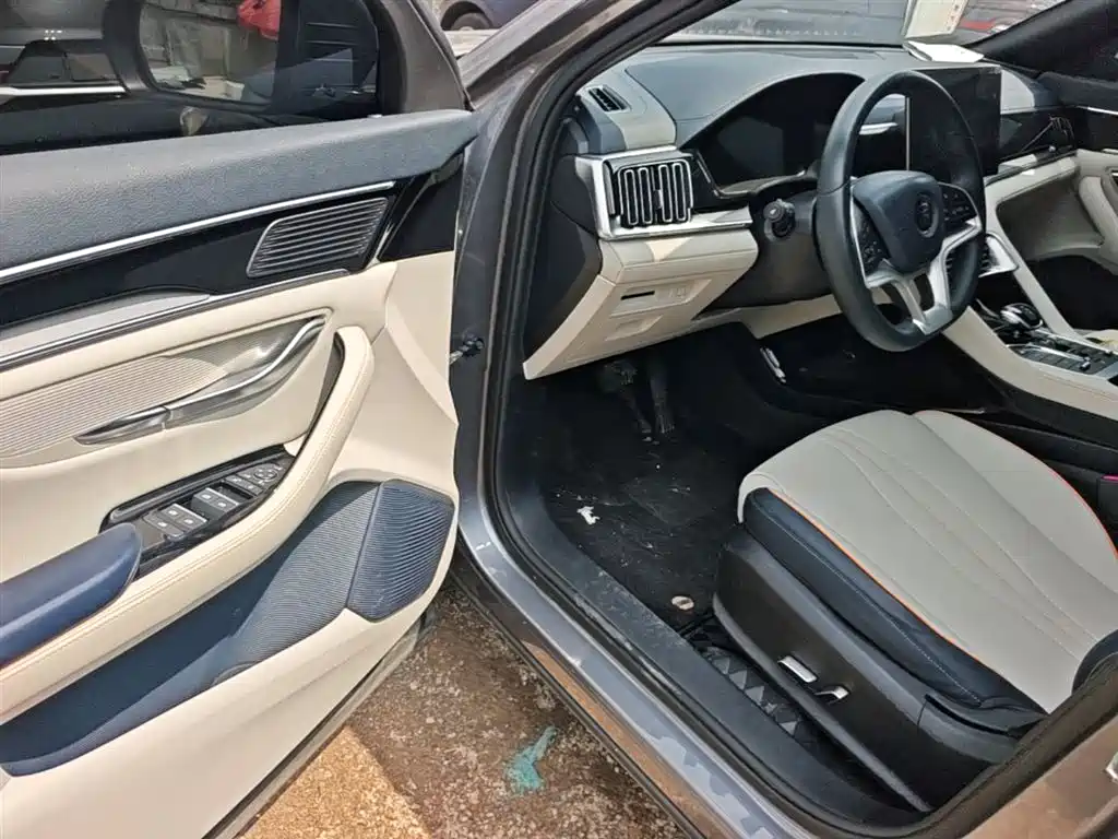 BYD PLUS New Energy 2022 — фото 16