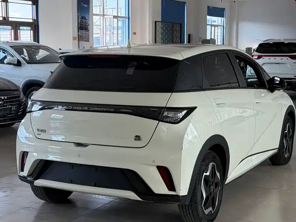 BYD Dolphin 2024