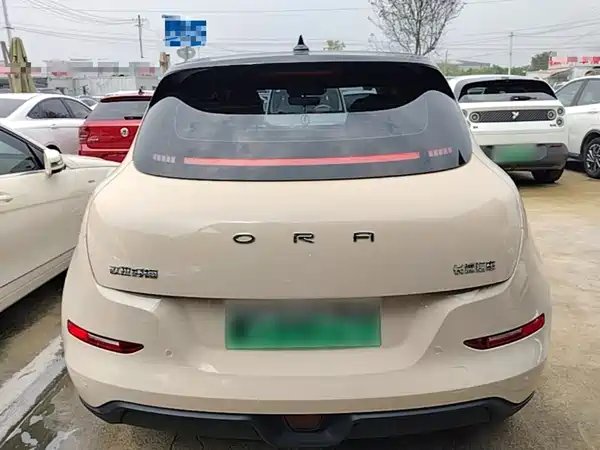 Ora Good Cat 2021
