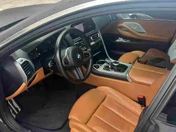 BMW 8 Series 2019