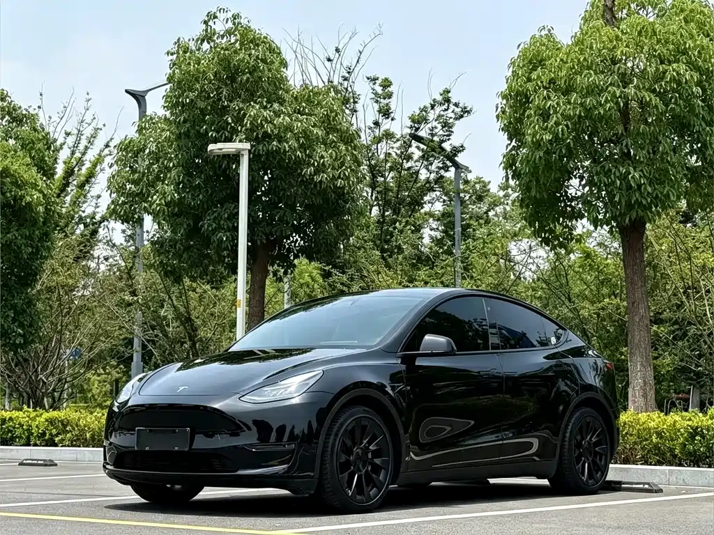 Tesla Model Y 2021 — фото 1