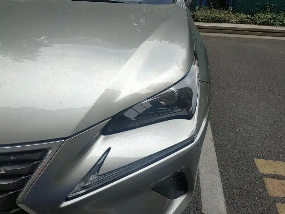 Lexus NX 2019