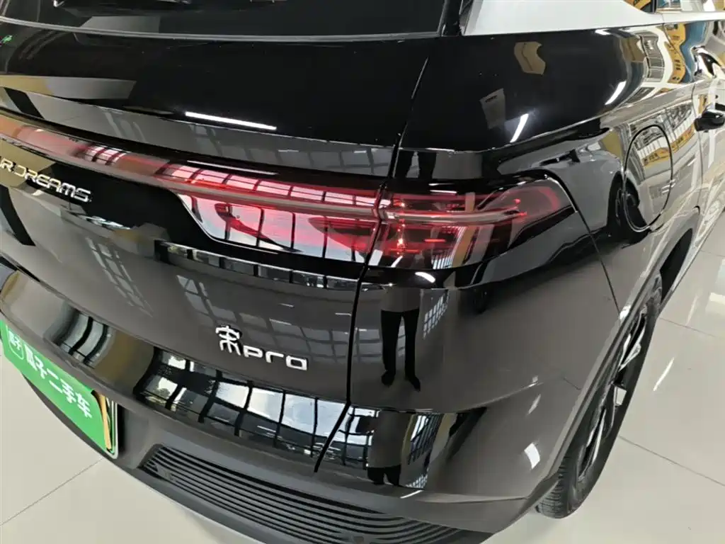 BYD Pro New Energy 2024 — фото 8