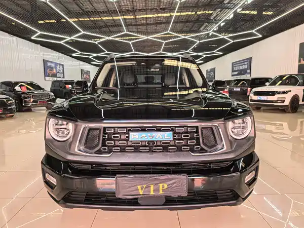 Haval Big Dog PLUS New Energy 2024