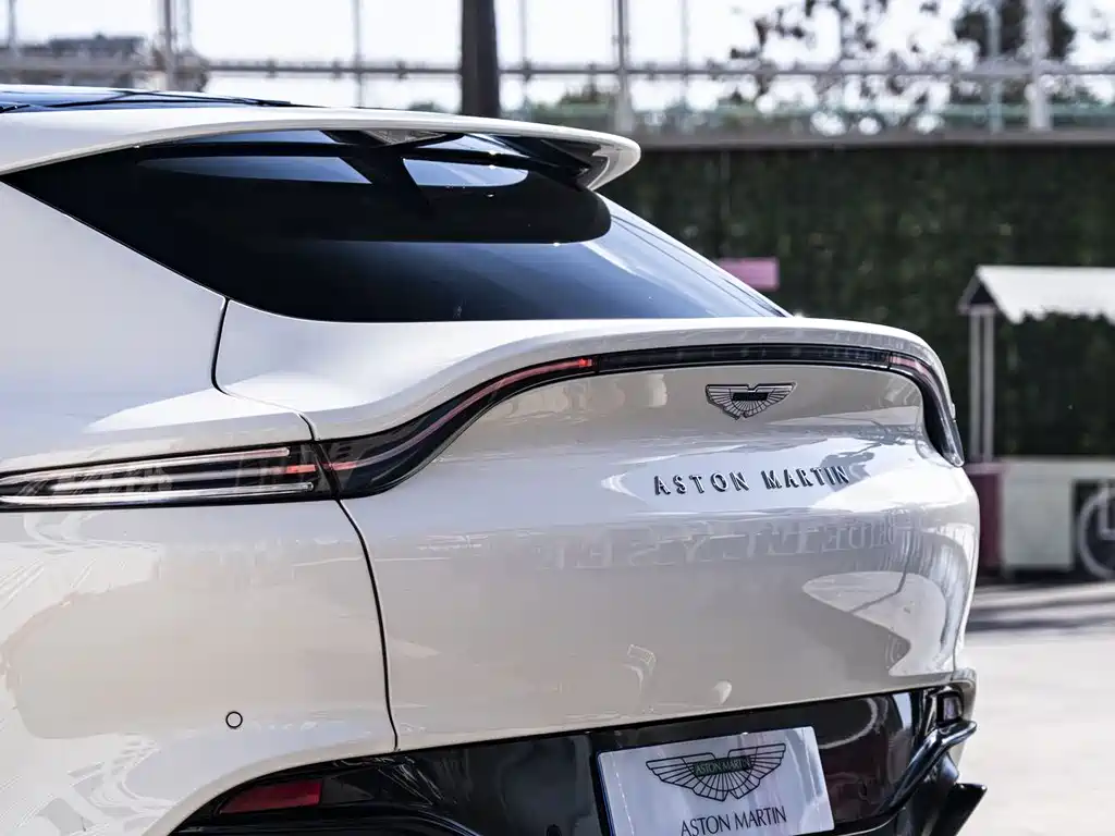 Aston Martin DBX 2021 — фото 14
