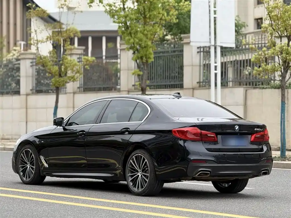 BMW 5 Series 2020 — фото 10