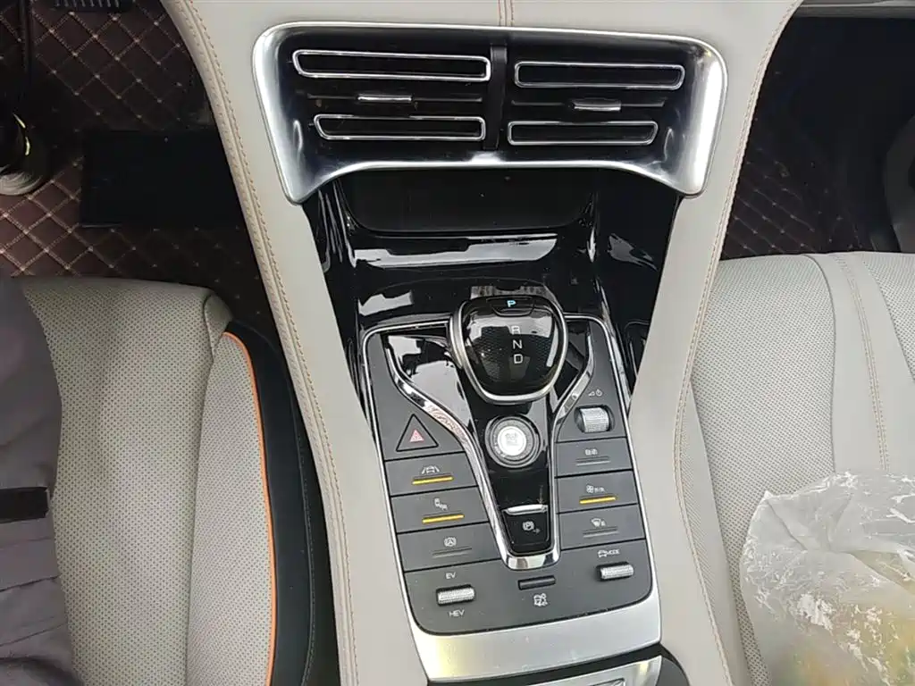 BYD PLUS New Energy 2022 — фото 14