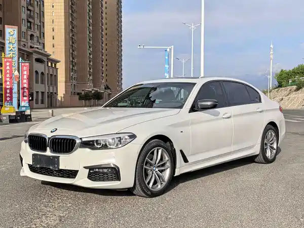 BMW 5 Series 2019