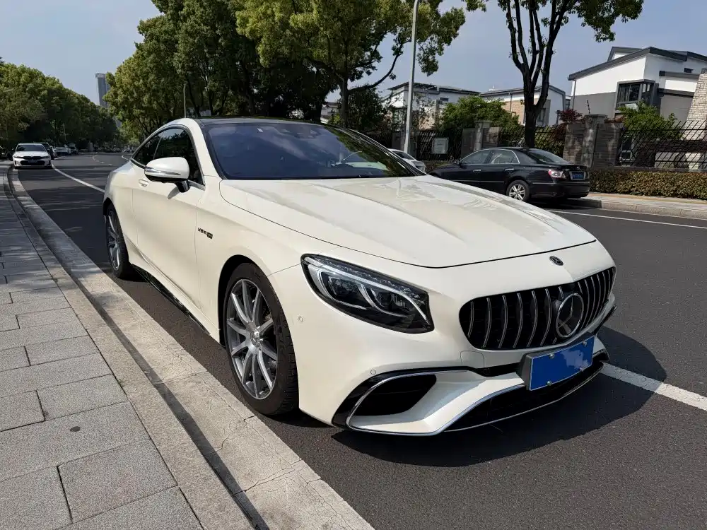 Mercedes-Benz S-Class AMG 2020 — фото 17
