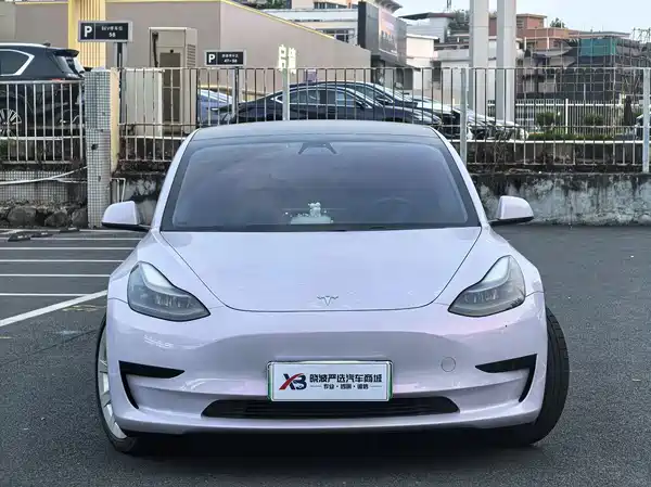 Tesla Model 3 2021