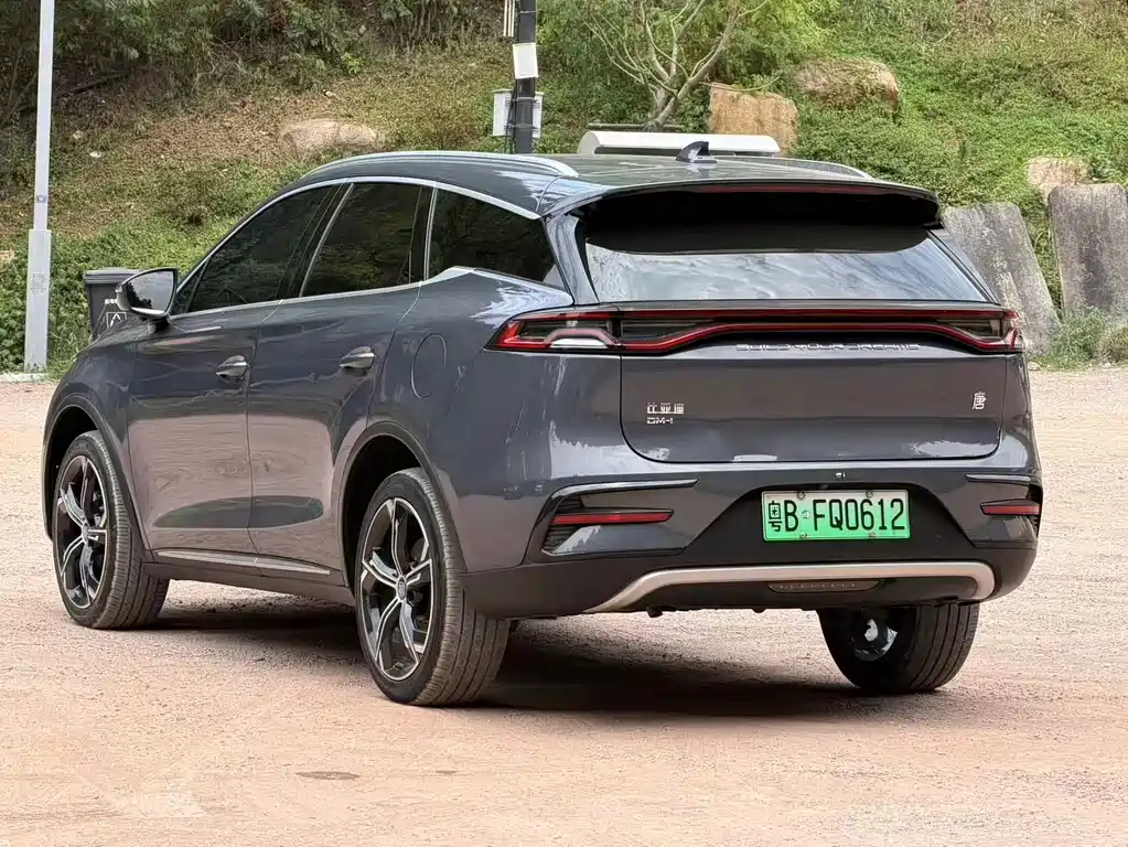 BYD Tang New Energy 2022 — фото 11